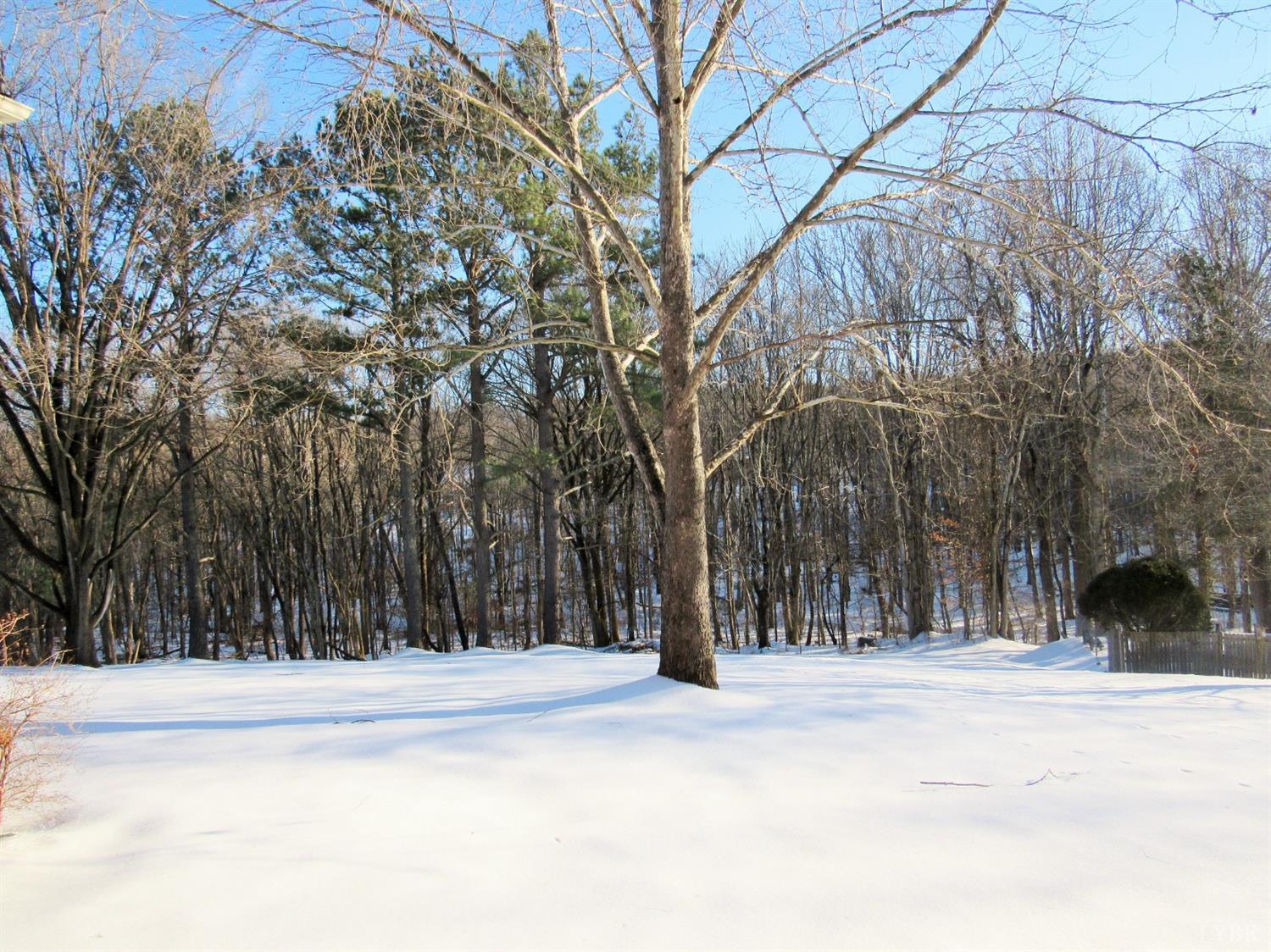 739 Kenmore Road Amherst, VA 24521 - Photo 26 of 27 a view of large trees with a of trees