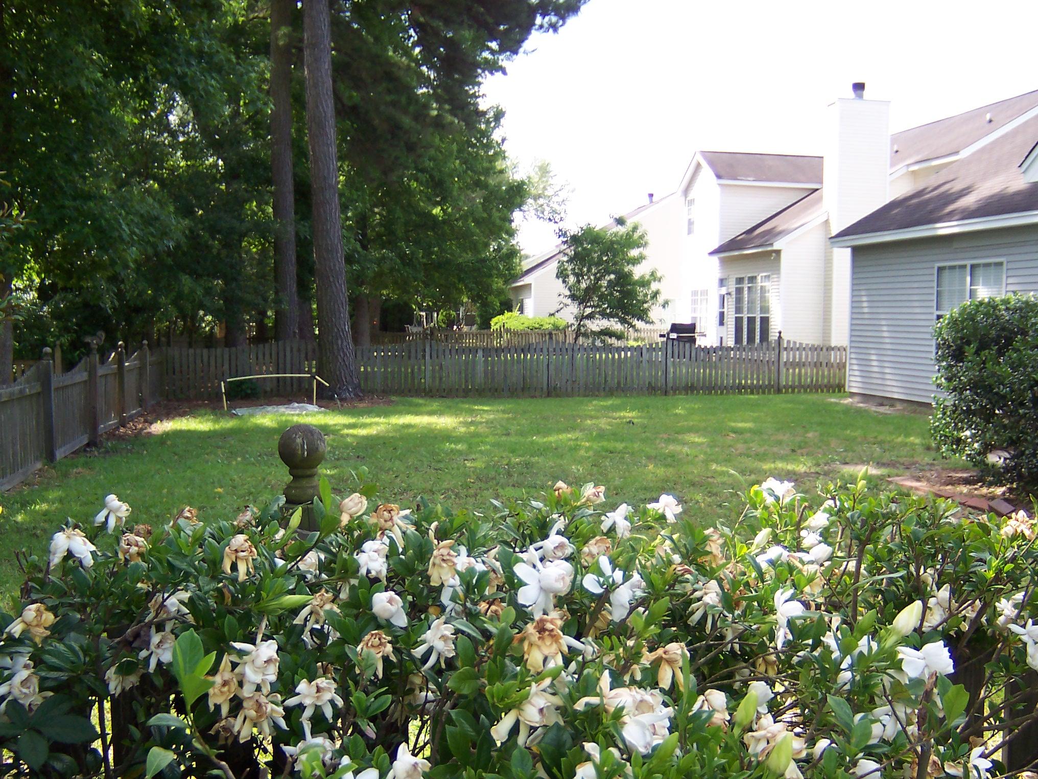 300 Rice Bay Drive Mount Pleasant, SC 29464 - Photo 24 of 25 100_3224