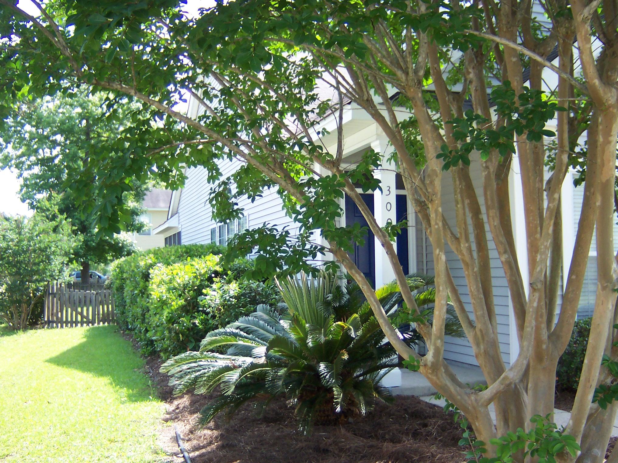 300 Rice Bay Drive Mount Pleasant, SC 29464 - Photo 6 of 25 100_3220