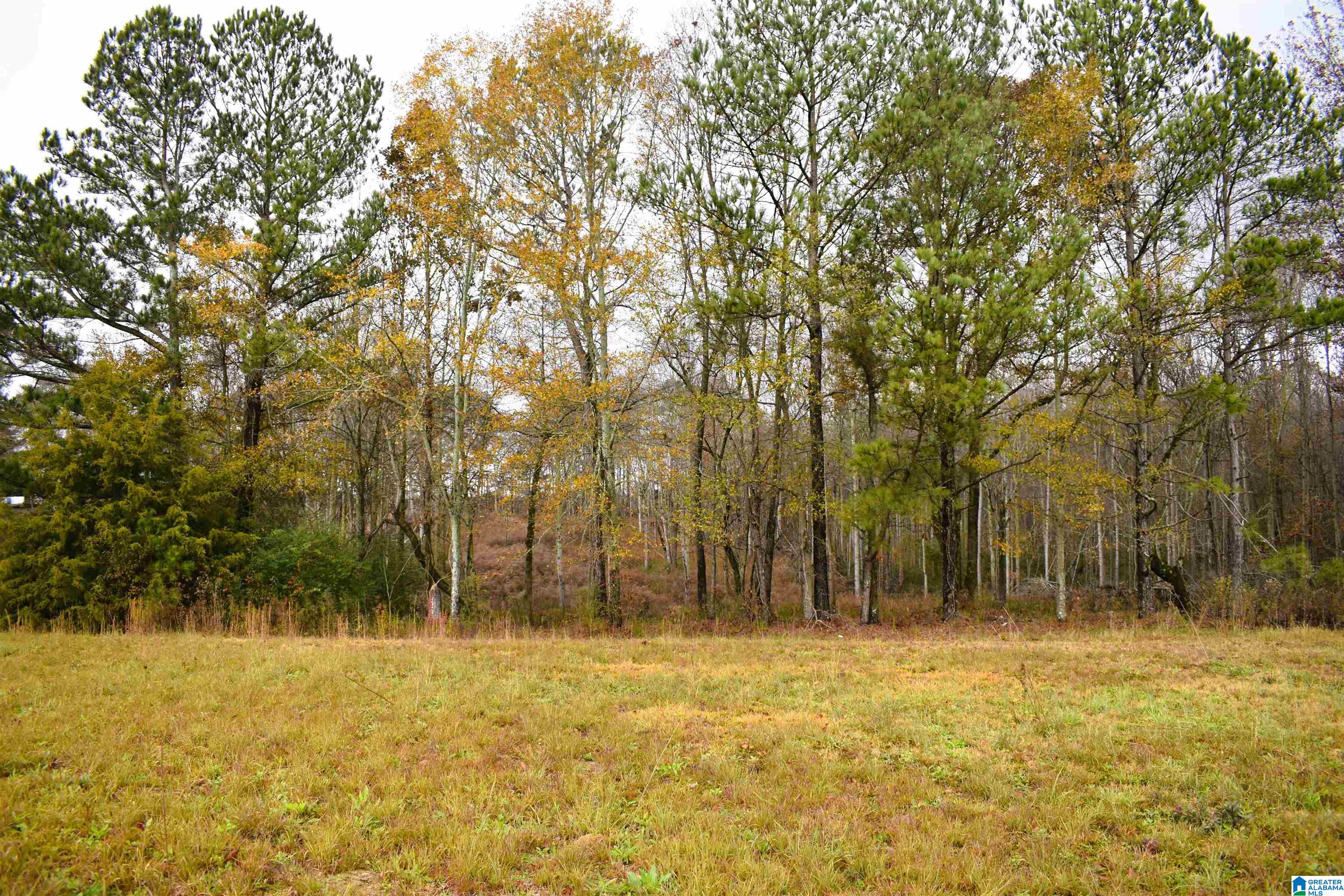 701 Cemetary Road Holly Pond, AL 35083 - Photo 27 of 31