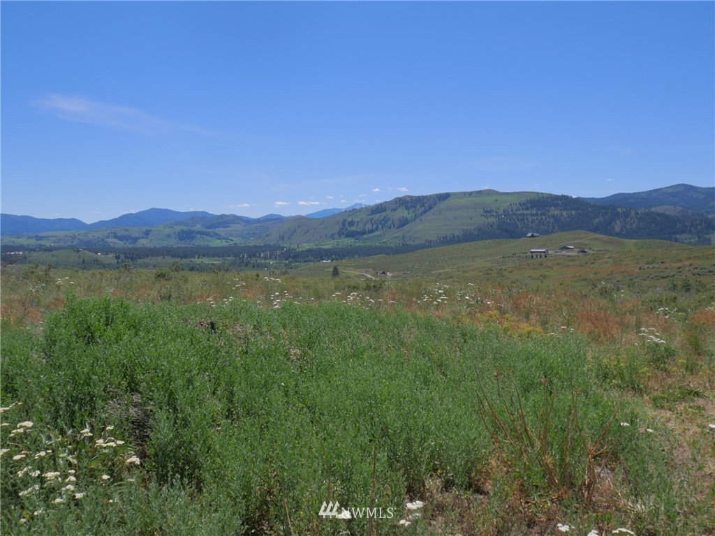 33 Chewuch Heights Road Winthrop, WA 98862 - Photo 22 of 25 Gallery Image 22