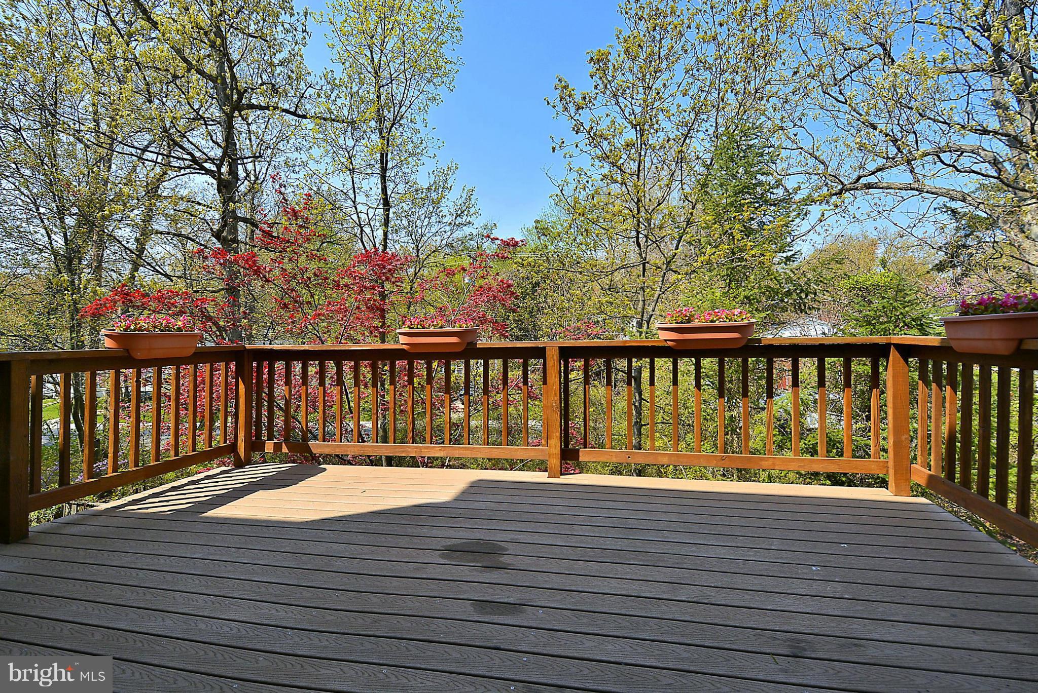 10848 Douglas Avenue Silver Spring, MD 20902 - Photo 13 of 30 Rear deck