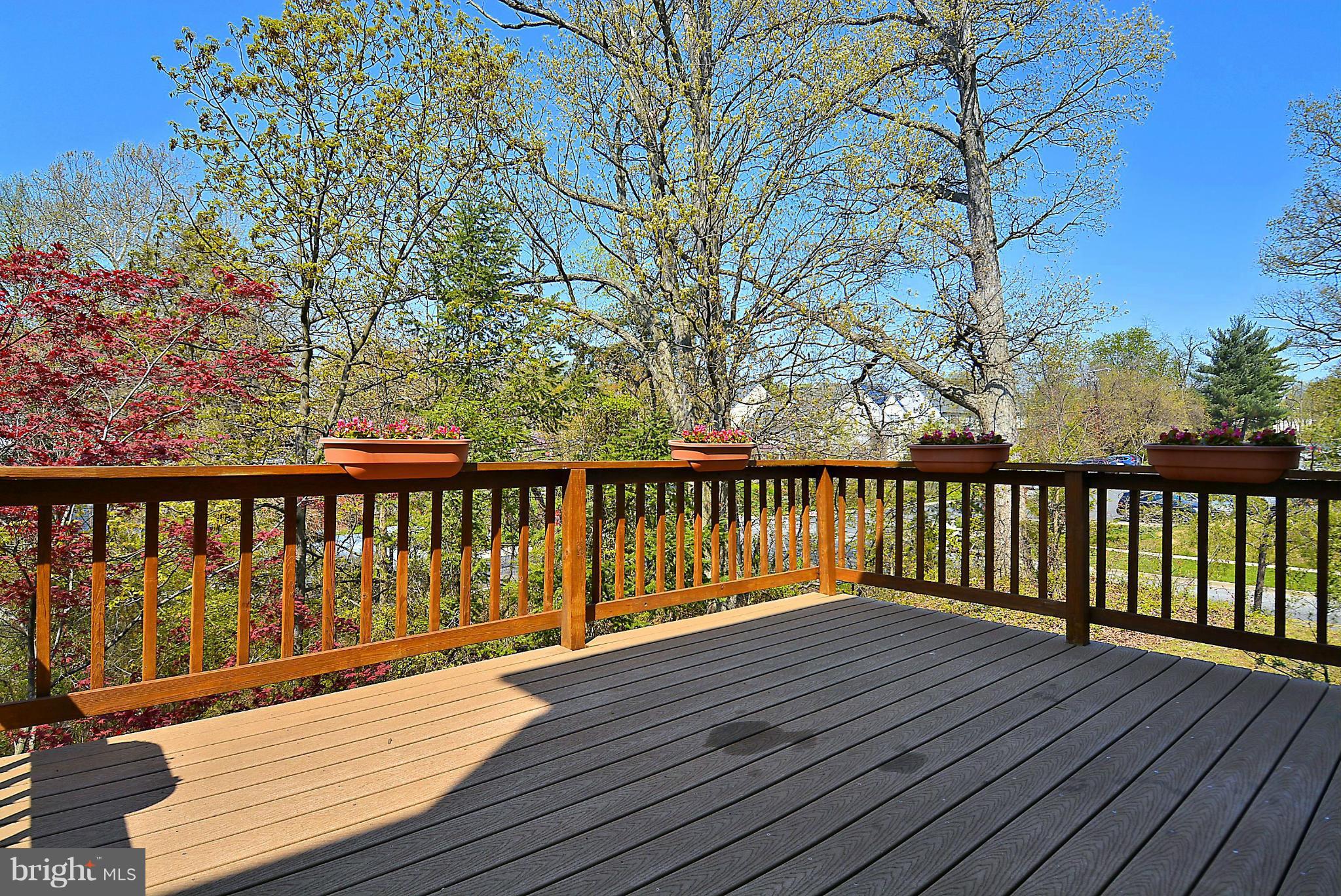 10848 Douglas Avenue Silver Spring, MD 20902 - Photo 14 of 30 Rear deck