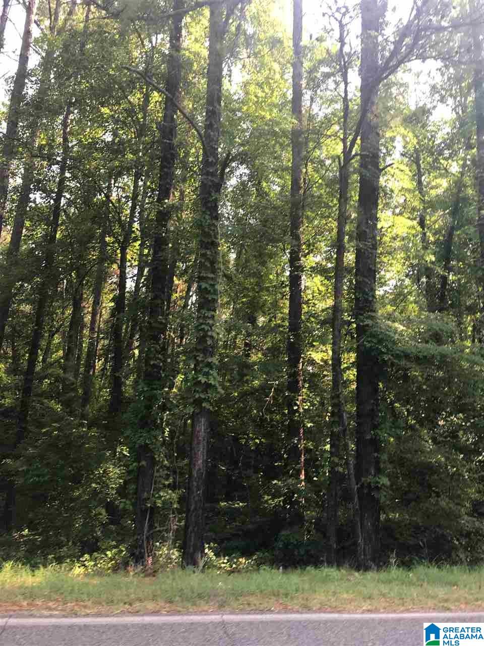 8335 Alliance Short Creek Road, Unit B Bessemer, AL 35023 - Photo 1 of 1