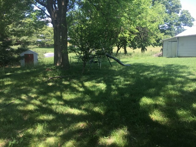 1882 Shutterlee Mill Road Staunton, VA 24401 - Photo 15 of 20 a view of a yard with a tree