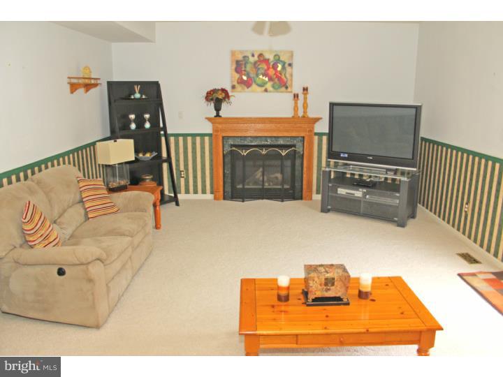 5 Primrose Lane Sinking Spring, PA 19608 - Photo 11 of 20 Family Room