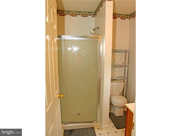 5 Primrose Lane Sinking Spring, PA 19608 - Photo 16 of 20 Master Bathroom
