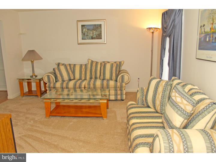 5 Primrose Lane Sinking Spring, PA 19608 - Photo 6 of 20 Living Room