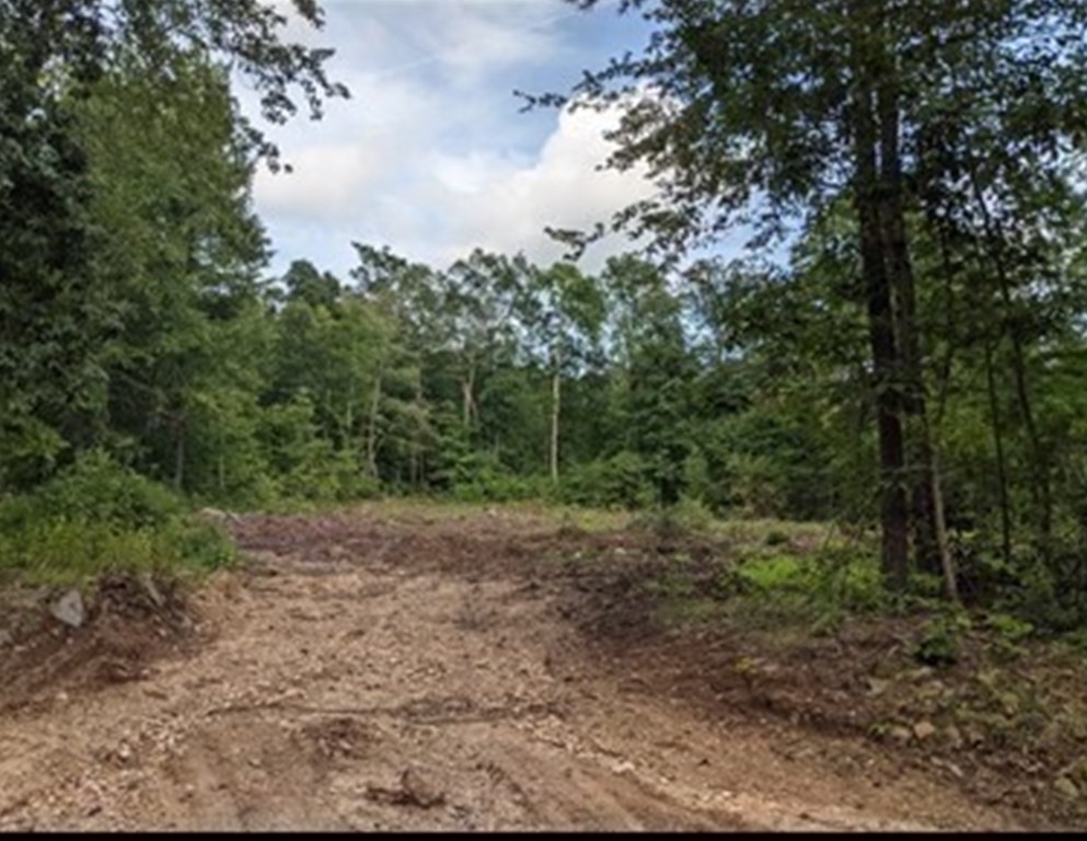 Lot 6 Old County Road Holland, MA 01521 - Photo 3 of 10 a big yard with lots of green space