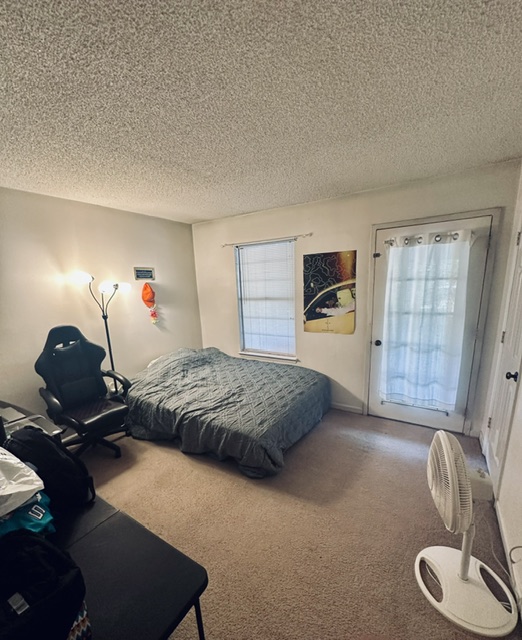 250 Elm Street, Unit 825 Clemson, SC 29631 - Photo 10 of 10