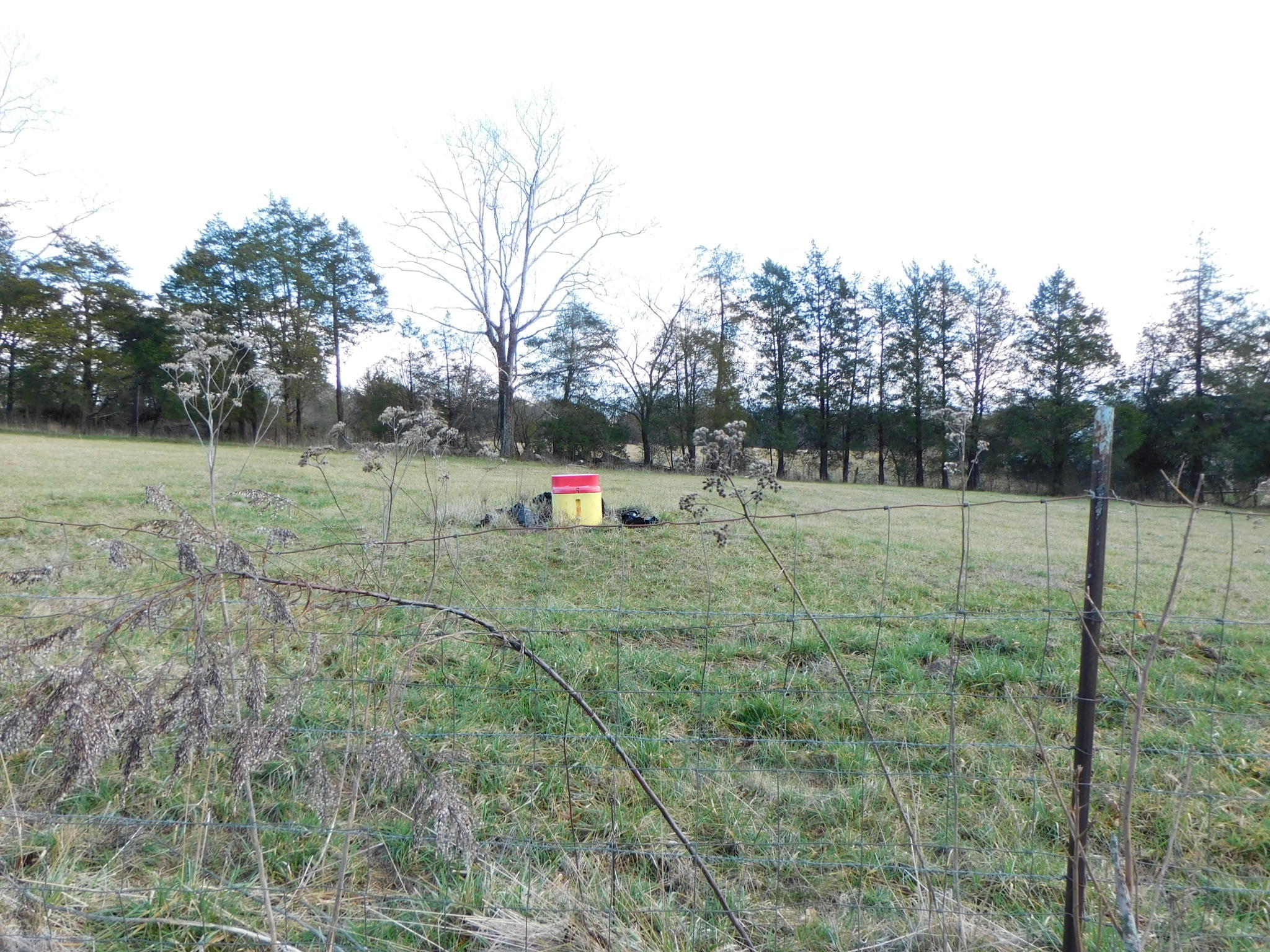 280 Gene Gray Road Monticello, KY 42633 - Photo 38 of 71 DSCI0381