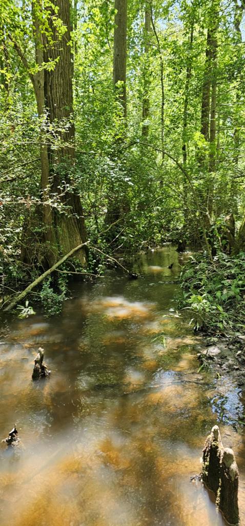 Lot 7 Acres Grady Garner Road Slocomb, AL 36375 - Photo 44 of 58