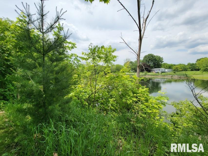 23248 North Cherokee Road Cuba, IL 61427 - Photo 23 of 50