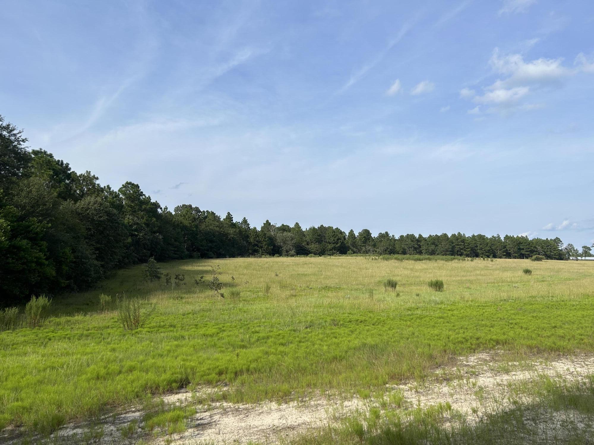 0 Good Springs Road Aiken, SC 29801 - Photo 3 of 6 Gallery Image 3