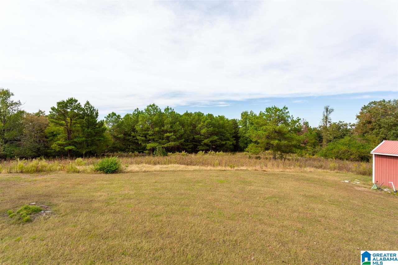 1520 Sawyer Mountain Road Oneonta, AL 35121 - Photo 27 of 33