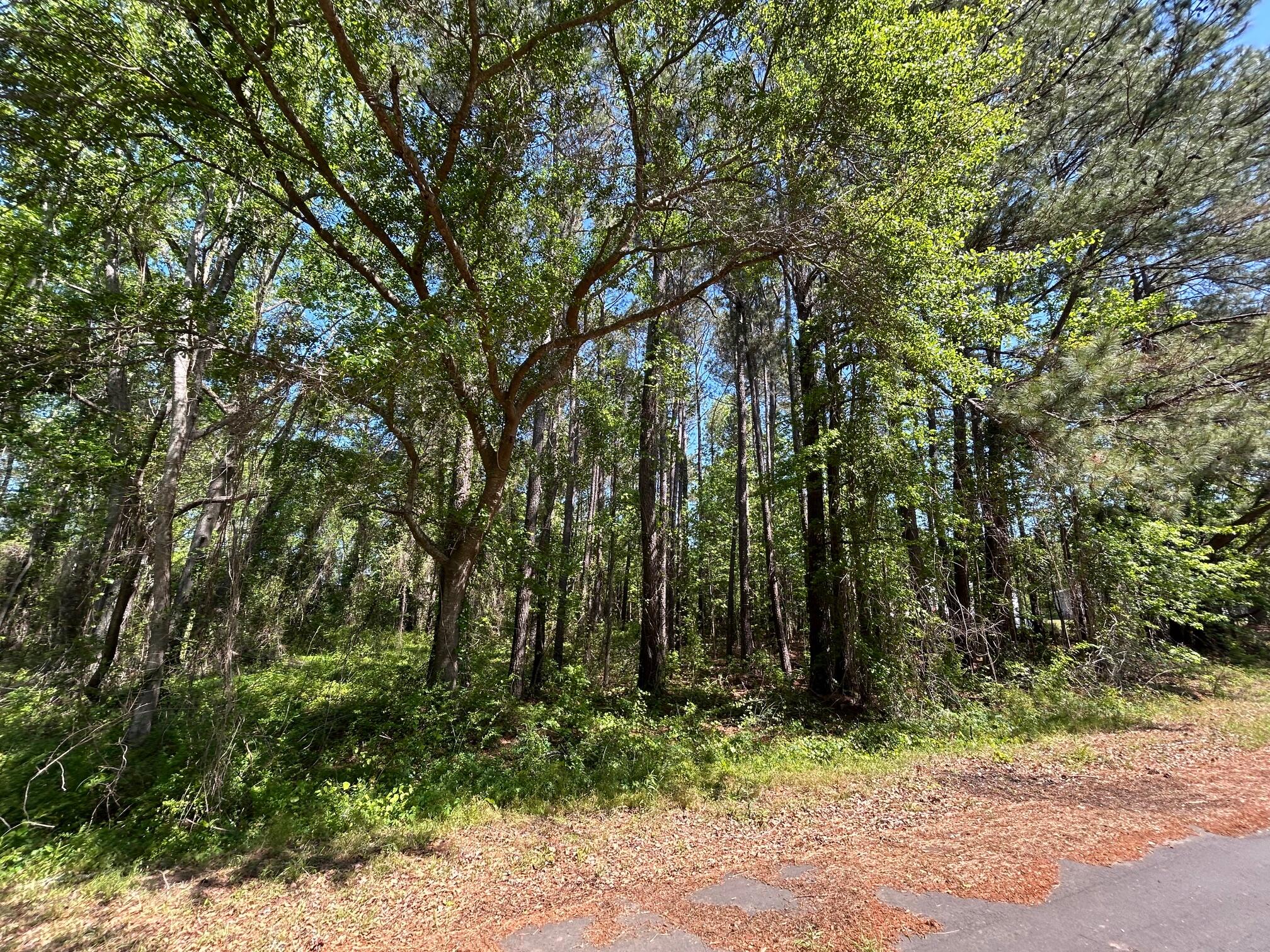 Tbd Dina Montgomery Road Summerton, SC 29148 - Photo 2 of 2 IMG_1324