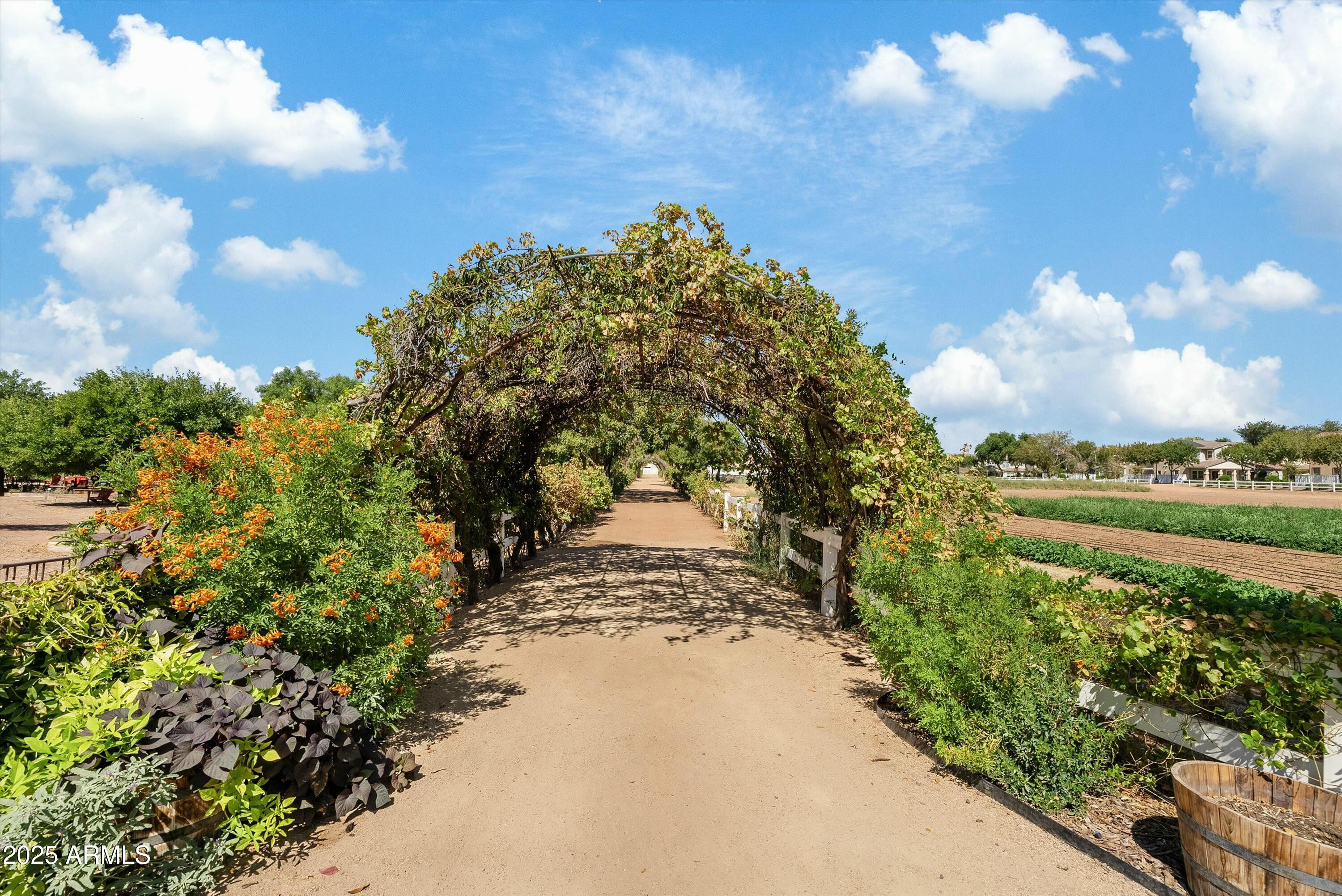 3021 East Agritopia Loop North Gilbert, AZ 85296 - Photo 67 of 68 tempImageBSdWBY