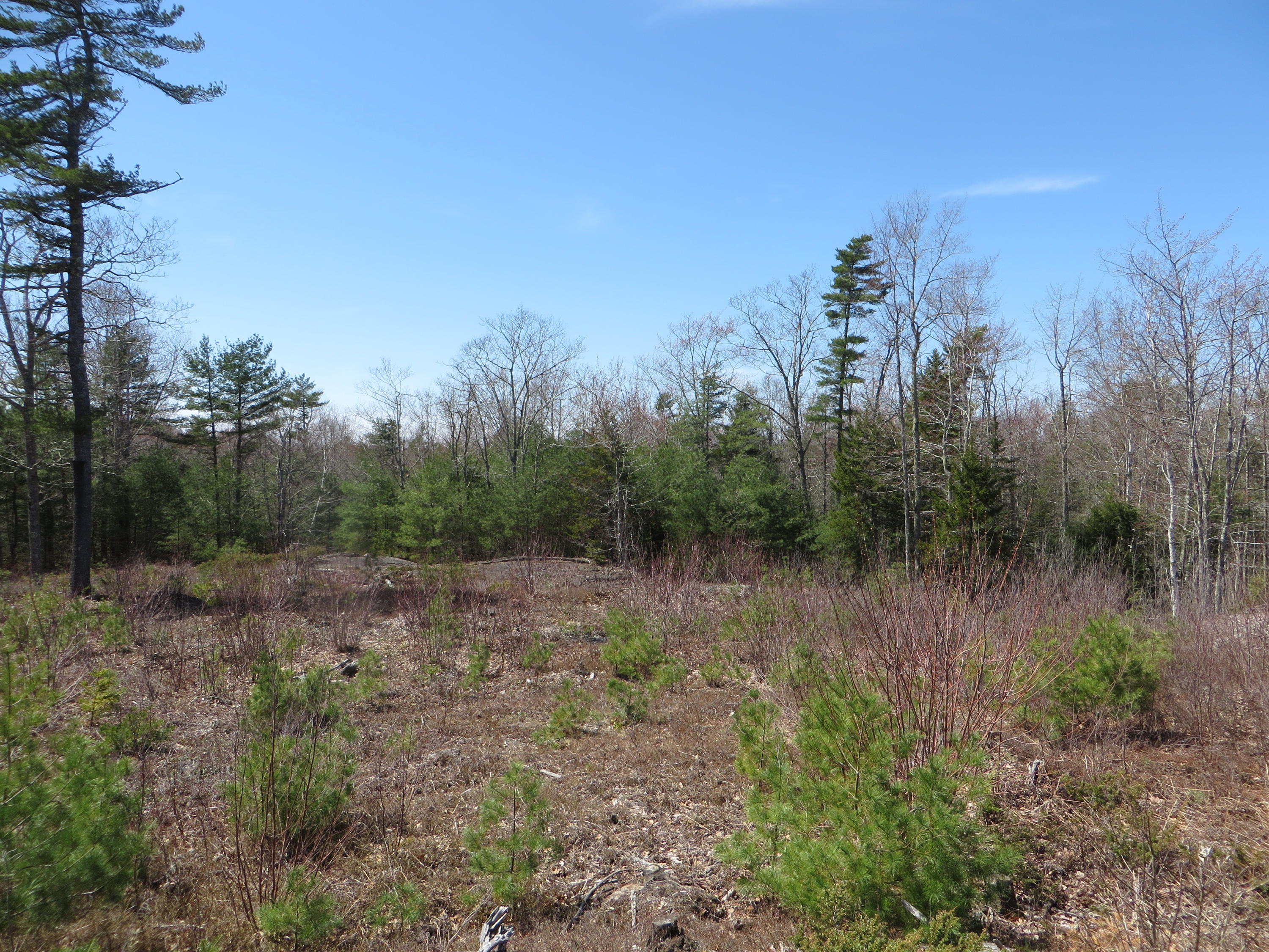 Lot57-10 Winterberry Road West Bath, ME 04530 - Photo 13 of 24 11