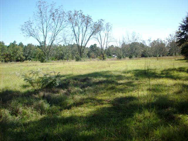 46900 Rockhill Road Bay Minette, AL 36507 - Photo 1 of 1