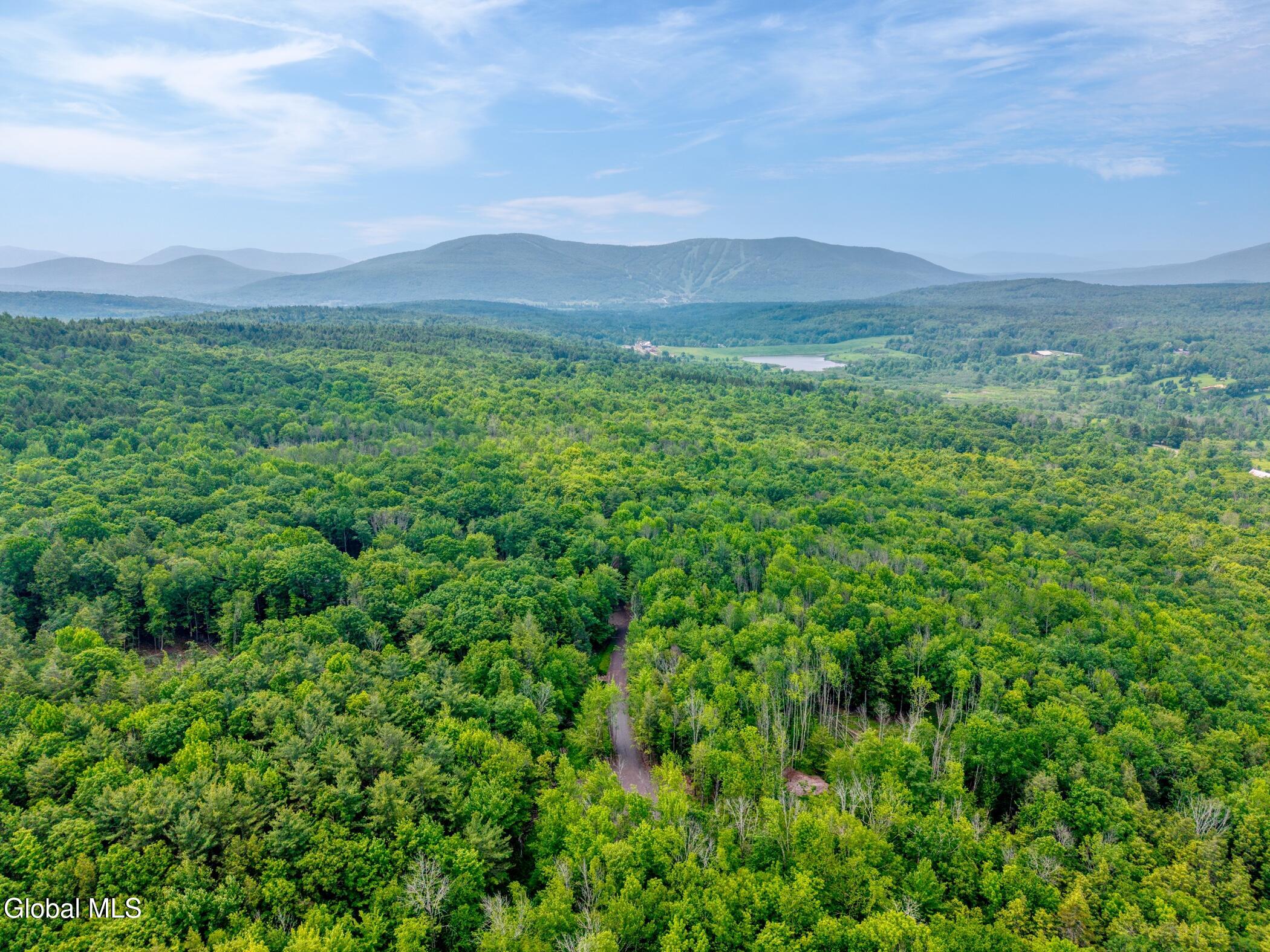 L36 Boulder Brook Road, Unit LOT # 12 Windham, NY 12496 - Photo 32 of 44 Image-38