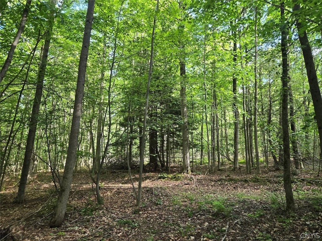 7988 Dowd Road Pike, NY 14735 - Photo 30 of 37