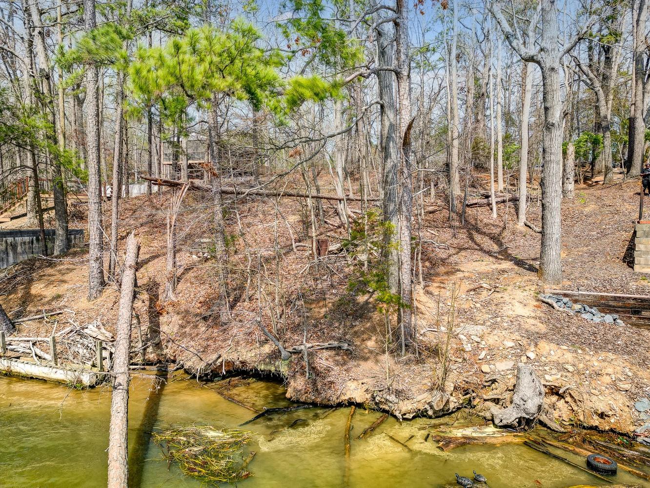 0 Riverside Drive Albemarle, NC 28001 - Photo 6 of 11 Gallery Image 6