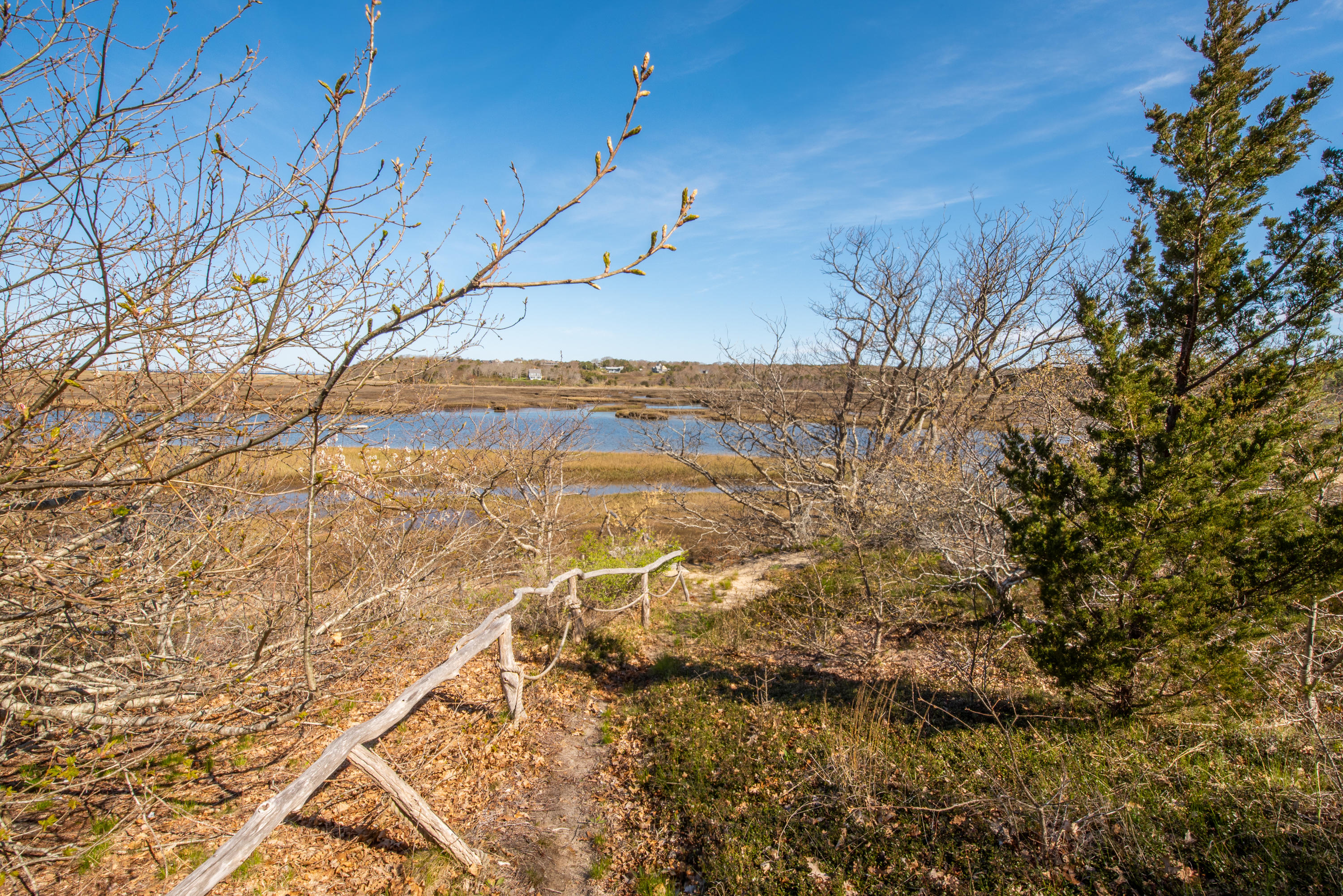 63 Depot Road Truro, MA 02666 - Photo 8 of 36 a view of yard with large tree
