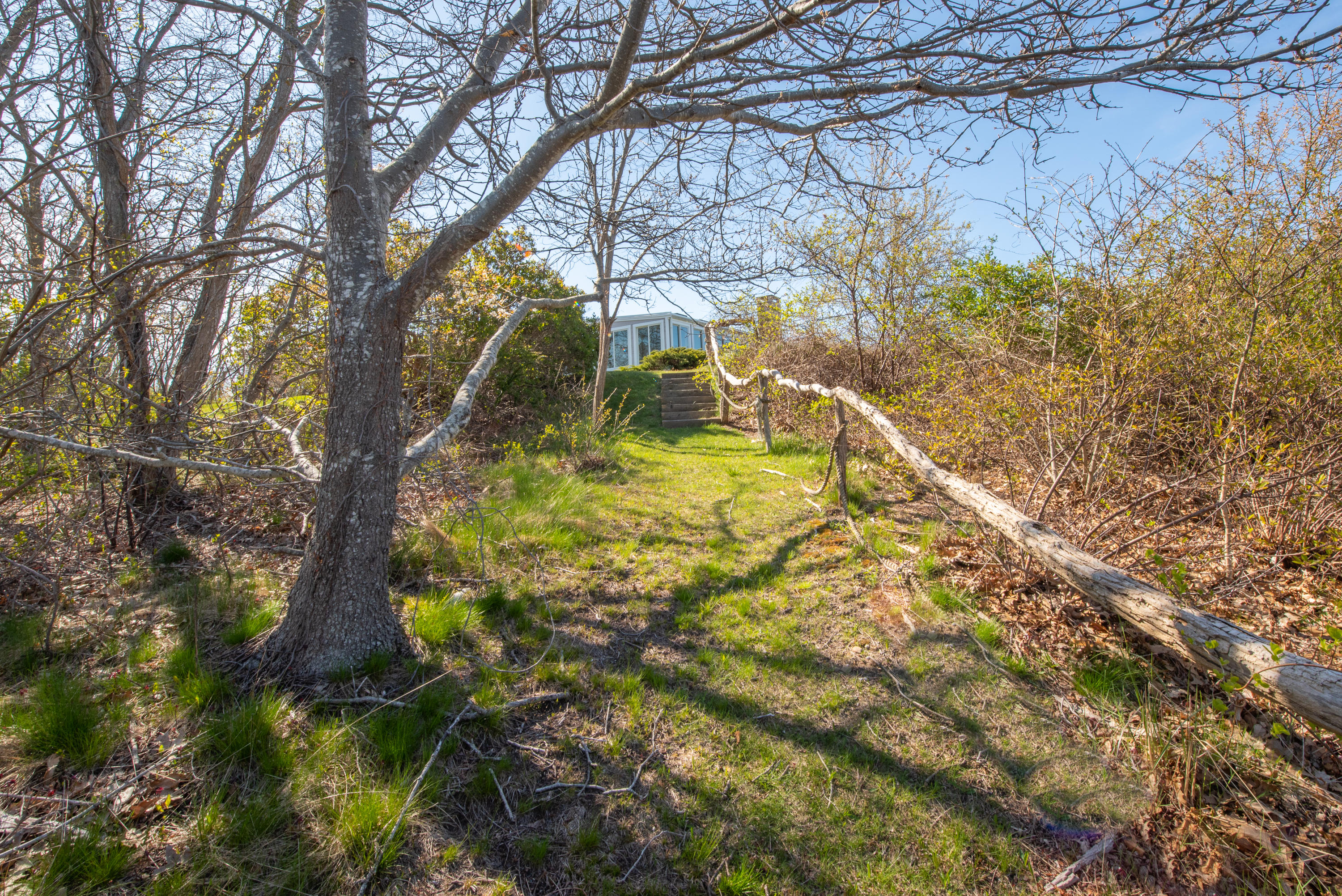 63 Depot Road Truro, MA 02666 - Photo 9 of 36 a backyard of a house with large trees