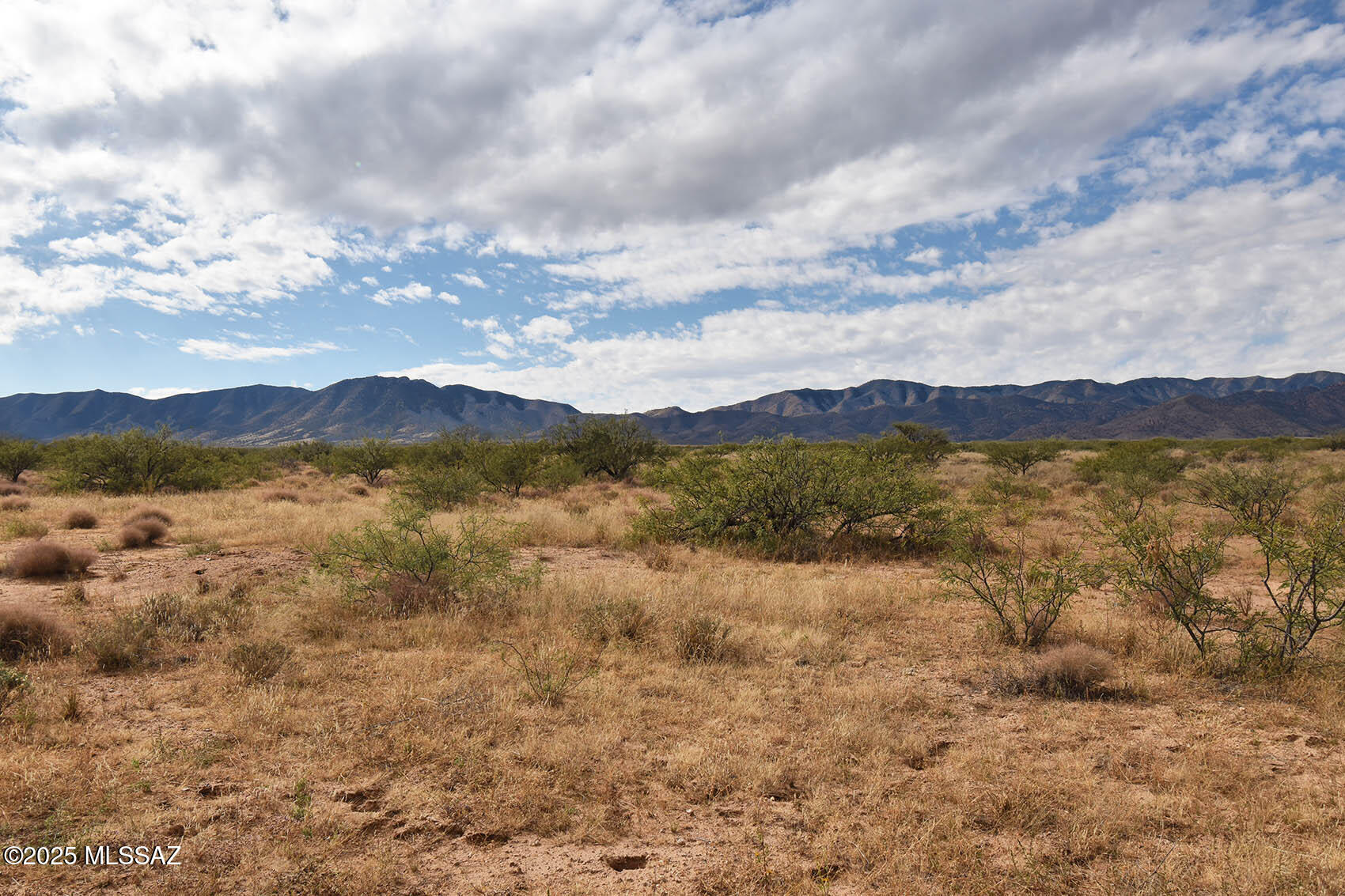 4-lots 4-lots Unnamed Road, Unit 456 Pearce, AZ 85625 - Photo 10 of 20