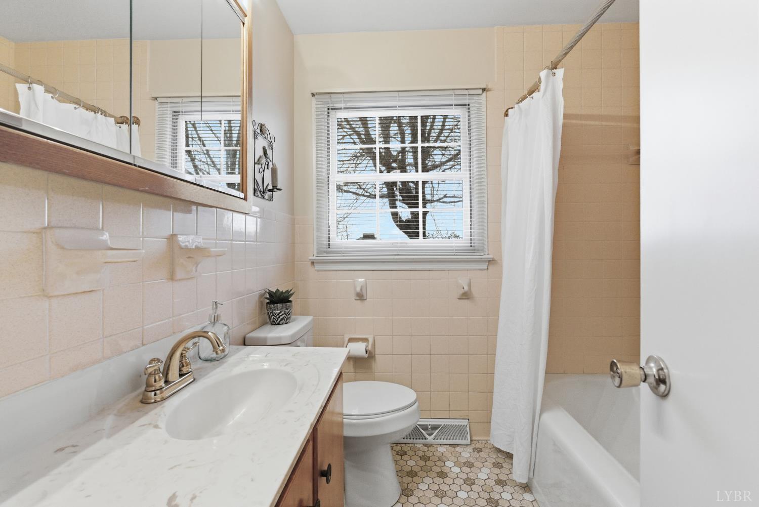 7092 Stage Coach Road Nathalie, VA 24577 - Photo 34 of 57 a bathroom with a sink toilet and shower