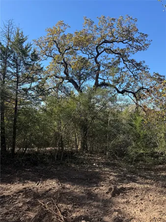 $215,000 | Tbd Leisure Lane, Cedar Creek, TX 78612