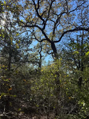 $215,000 | Tbd Leisure Lane, Cedar Creek, TX 78612