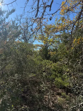 $215,000 | Tbd Leisure Lane, Cedar Creek, TX 78612