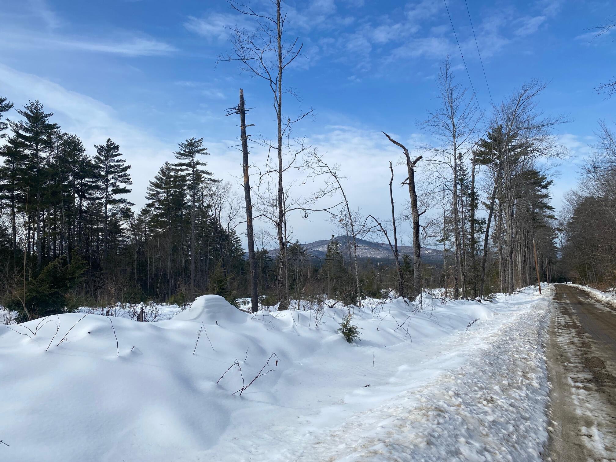 Lot 2 Chase Road Parsonsfield, ME 04047 - Photo 11 of 14 IMG_8468 (1)