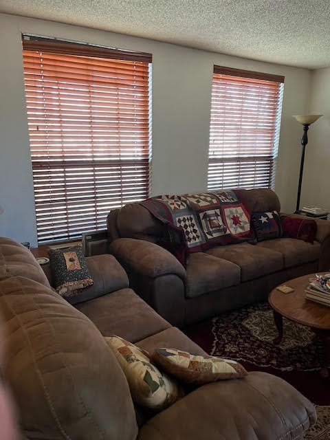 709 Elder Way Round Rock, TX 78664 - Photo 9 of 45