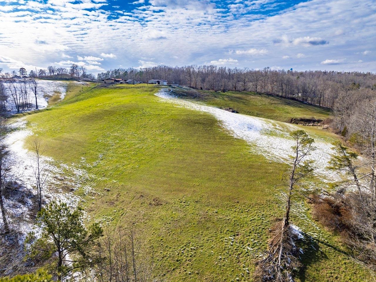 101 Abe Roar Road Olive Hill, KY 41164 - Photo 8 of 45
