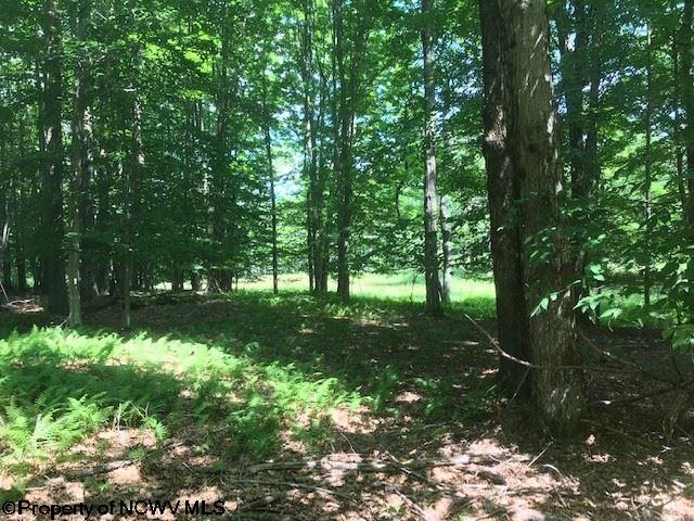 Lot 21 Deer Ridge Davis, WV 26260 - Photo 12 of 16 Gallery Image 12