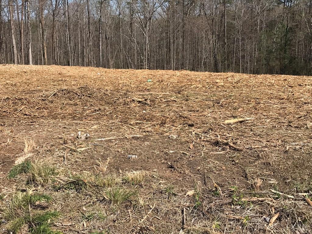 0 Northeast Milnwood Road Farmville, VA 23901 - Photo 5 of 7