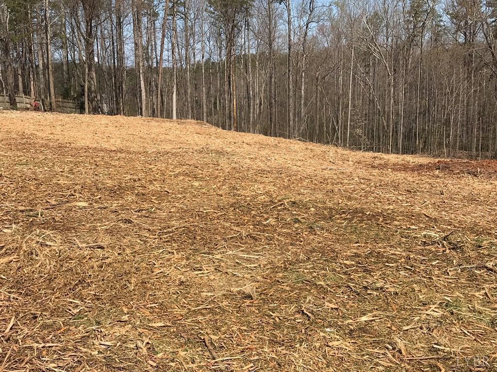 0 Northeast Milnwood Road Farmville, VA 23901 - Photo 6 of 7 a swimming pool with wooden fence
