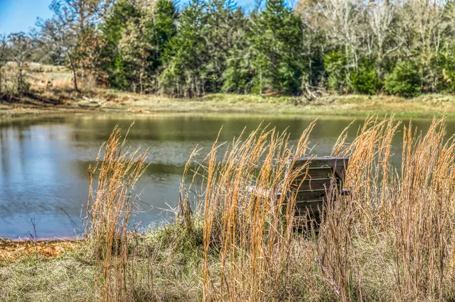 a view of mountain view with trees