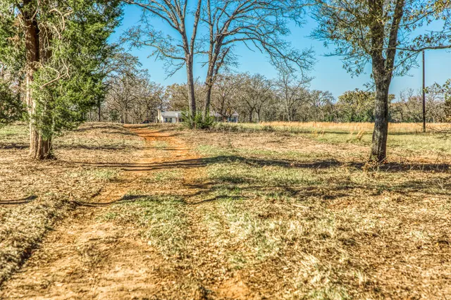 a view of outdoor space with trees