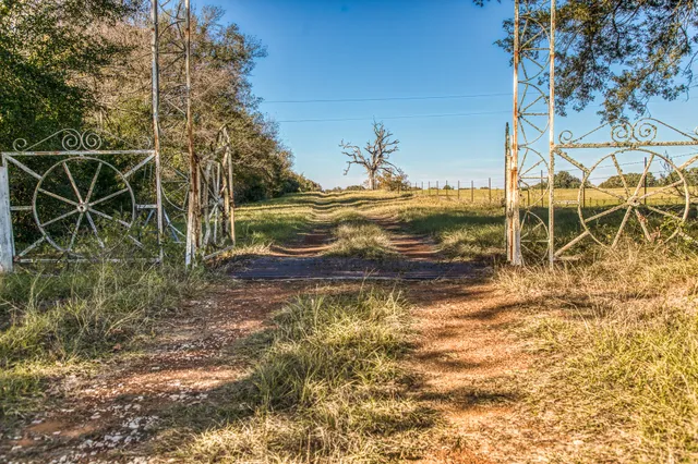 a view of a yard with wooden fence