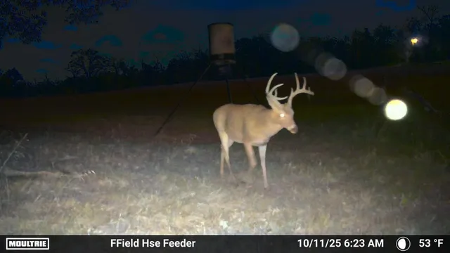 $1,100,000 | 1967 Farm To Market 489, Fairfield, TX 75840