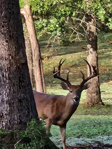 $1,100,000 | 1967 Farm To Market 489, Fairfield, TX 75840