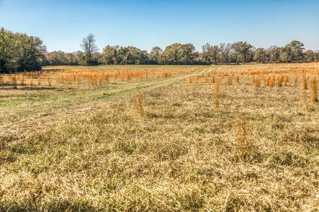 a view of lake and mountain