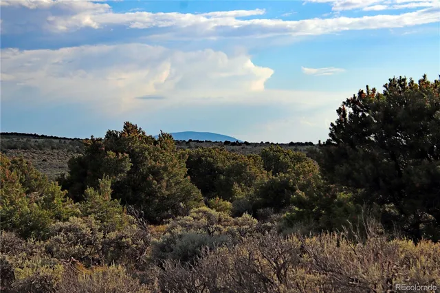 a view of a forest with a houses