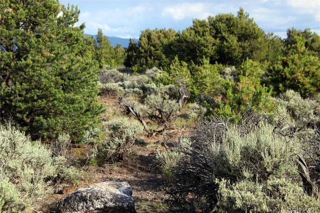 a view of a city with lush green forest