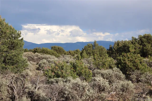 a view of a bunch of trees and bushes