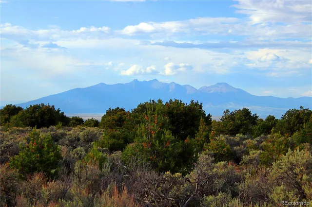 a view of a bunch of trees in a field