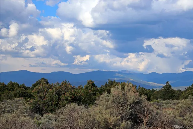 a view of a bunch of trees